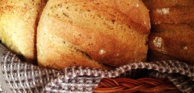 Brotsorten: diese Startups kommen auf den Tisch  width=