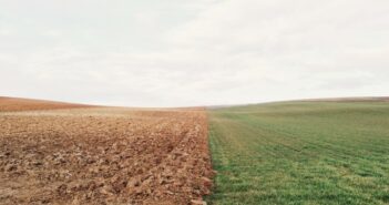 Bodenprobe: Bodenuntersuchung bei außerfamiliäre Hofübergaben
