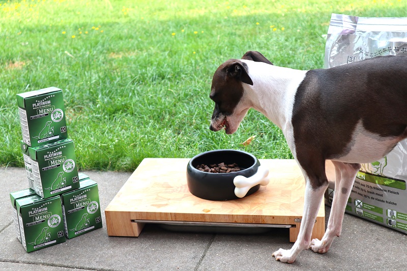 PLATINUM Futter: Ob Nass- oder Trockenfutter, beide Vollnahrungen schmecken Kiyoshi.