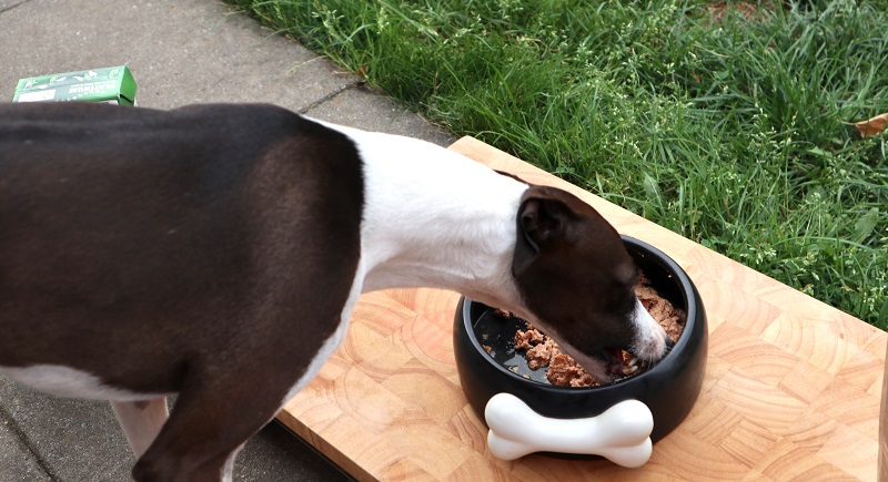 PLATINUM Futter: Den Test beginnt Kiyoshi mit Nassfutter MENU CHICKEN.