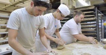 Handwerk boomt weiterhin in Baden-Württemberg trotz Wegfalls industrieller (Foto: argum. Falk Heller)