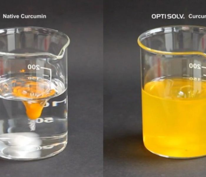 Demonstration der L&ouml;slichkeit von Curcumin, rechts nativ (Foto: Evanium Healthcare GmbH/ Fotograf privat)